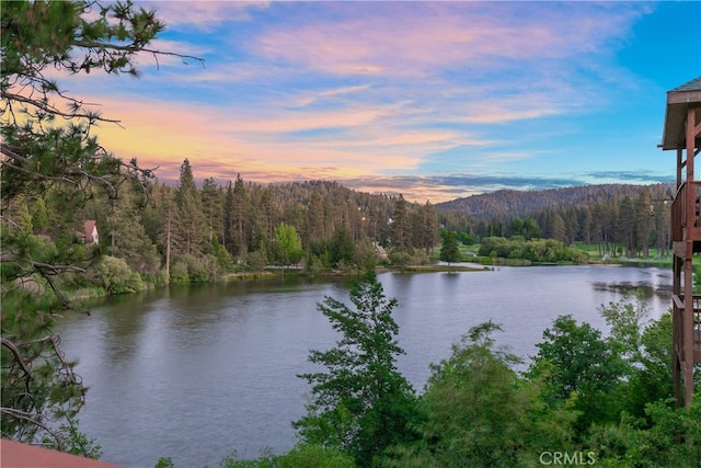 781 Brentwood Dr, Lake Arrowhead, CA 92352 - water view with a forest