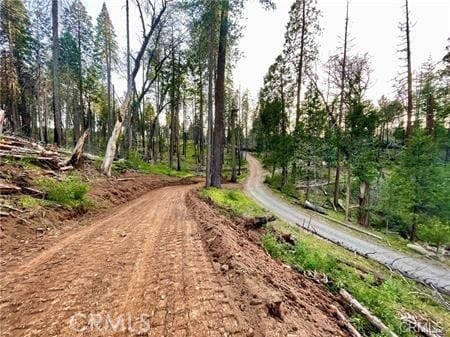 229 Comet Mine, Mariposa, CA 95338 - photo 2