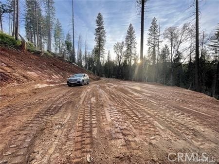 229 Comet Mine, Mariposa, CA 95338 - photo 1