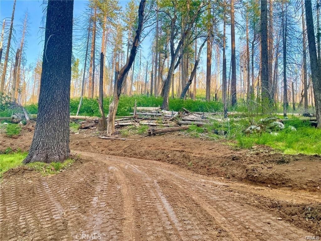 229 Comet Mine, Mariposa, CA 95338 - photo 3