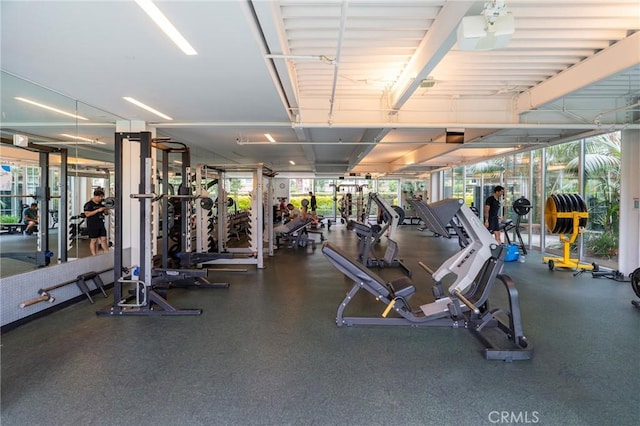13200 Pacific Promenade Unit 217, Playa Vista, CA 90094 - view of gym