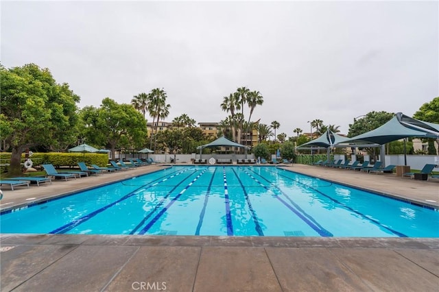 13200 Pacific Promenade Unit 217, Playa Vista, CA 90094 - community pool featuring a patio