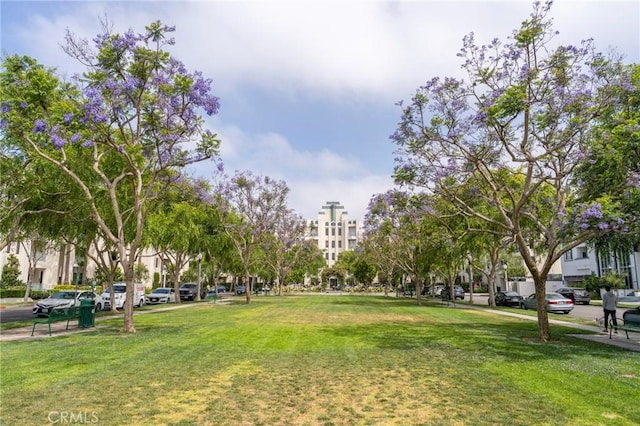 13200 Pacific Promenade Unit 217, Playa Vista, CA 90094 - view of property's community with a yard