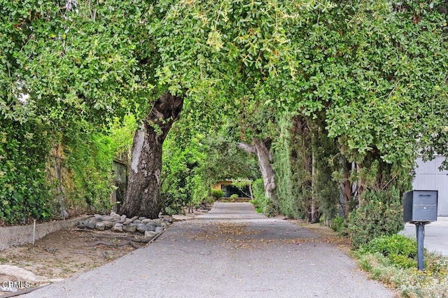 1139 Fairview Dr, La Canada Flintridge, CA 91011 - view of property's community