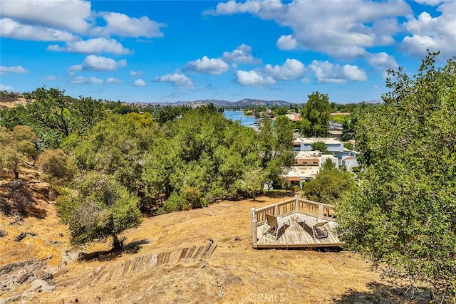 3640 Summershore Ln, Westlake Village, CA 91361 - photo 47