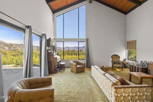 1100 Cliff Ave, Fillmore, CA 93015 - photo 9