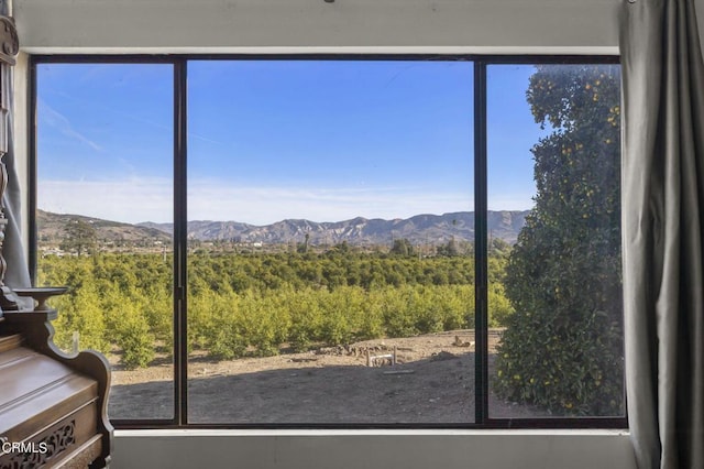 1100 Cliff Ave, Fillmore, CA 93015 - photo 12