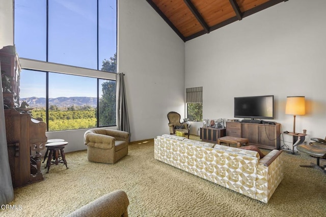 1100 Cliff Ave, Fillmore, CA 93015 - photo 10