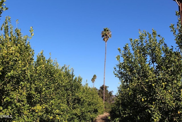 1100 Cliff Ave, Fillmore, CA 93015 - photo 31