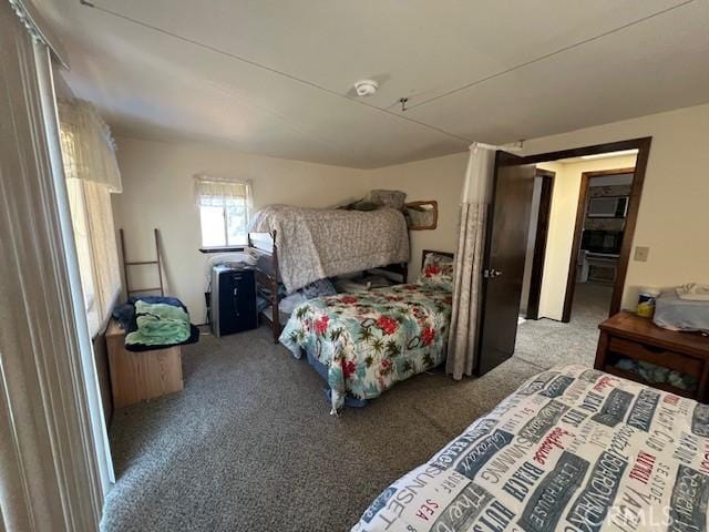 13238 Ebbtide, Clearlake Oaks, CA 95423 - bedroom featuring carpet
