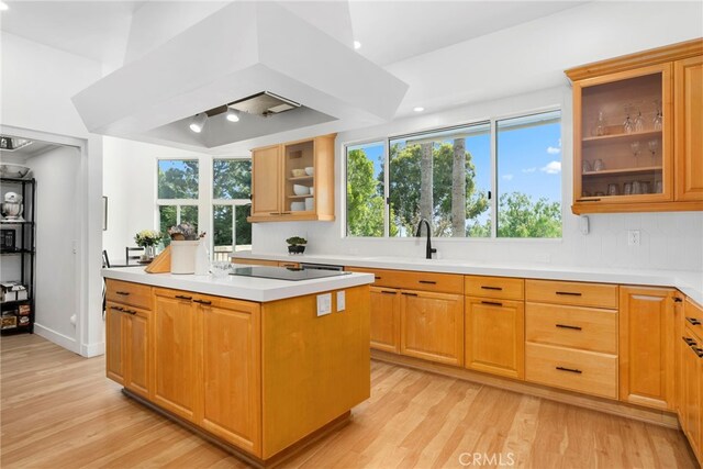 9111 Loma St, Villa Park, CA 92861 - photo 4