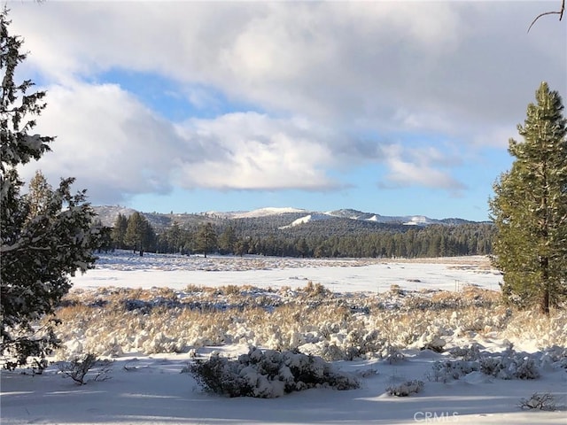 0 Holcomb Valley Rd, Fawnskin, CA 92333