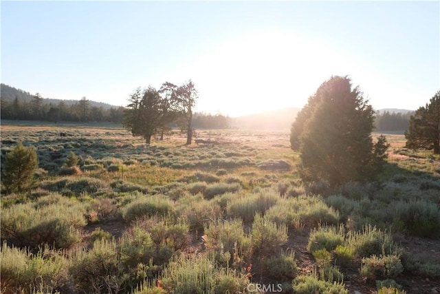 0 Holcomb Valley Rd, Fawnskin, CA 92333