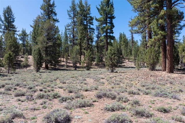 0 Holcomb Valley Rd, Fawnskin, CA 92333