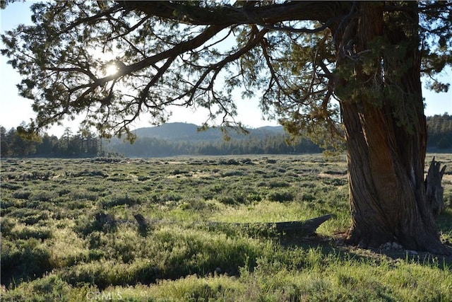 0 Holcomb Valley Rd, Fawnskin, CA 92333