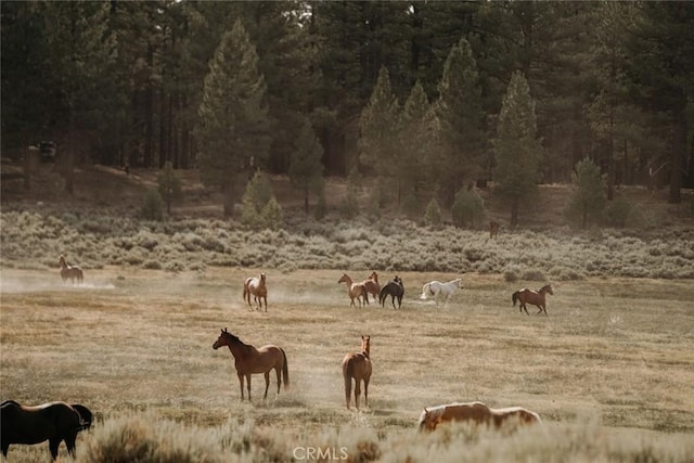 0 Holcomb Valley Rd, Fawnskin, CA 92333