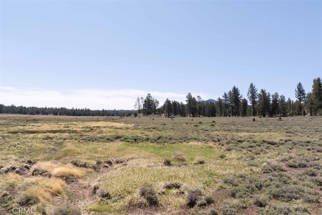0 Holcomb Valley Rd, Fawnskin, CA 92333