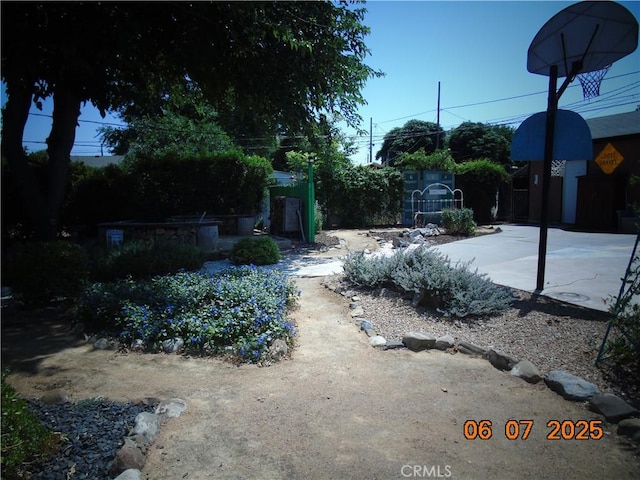 635 5th St, Willows, CA 95988 - view of yard