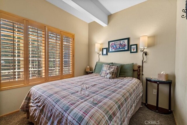 114 Starvation Flats Rd, Big Bear Lake, CA 92315 - photo 30