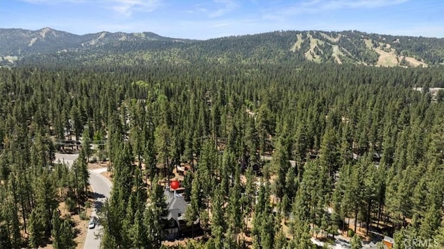 114 Starvation Flats Rd, Big Bear Lake, CA 92315 - photo 6