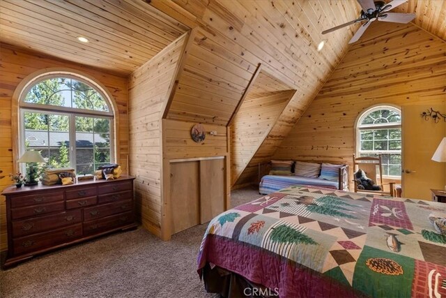 114 Starvation Flats Rd, Big Bear Lake, CA 92315 - photo 36