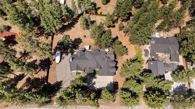 114 Starvation Flats Rd, Big Bear Lake, CA 92315 - photo 61