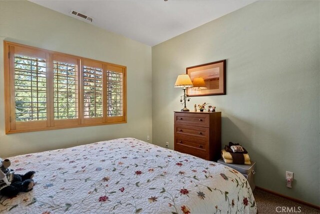 114 Starvation Flats Rd, Big Bear Lake, CA 92315 - photo 22