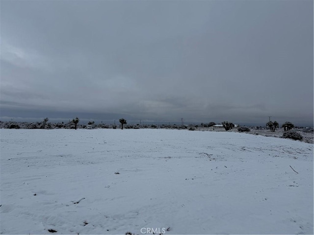 10 Capelin Rd, Phelan, CA 92371