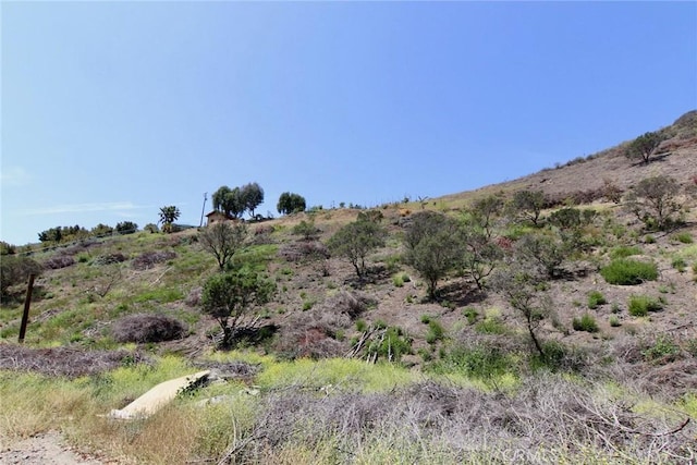 35916 Rice Canyon Rd, Fallbrook, CA 92028 - photo 39