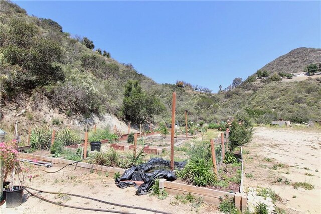 35916 Rice Canyon Rd, Fallbrook, CA 92028 - photo 37