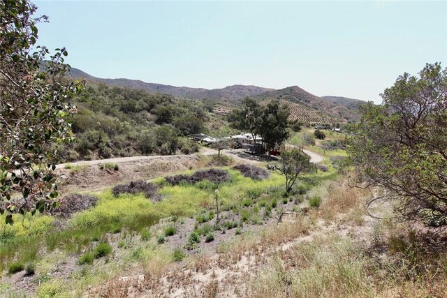 35916 Rice Canyon Rd, Fallbrook, CA 92028 - photo 36