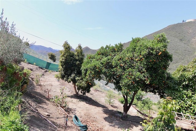 35916 Rice Canyon Rd, Fallbrook, CA 92028 - photo 34