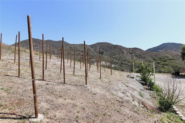 35916 Rice Canyon Rd, Fallbrook, CA 92028 - photo 27