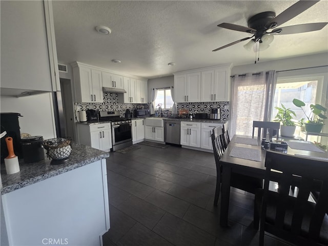 1212 Gen Ct, Barstow, CA 92311 - kitchen with appliances with stainless steel finishes, decorative backsplash, under cabinet range hood, white cabinets, and a textured ceiling