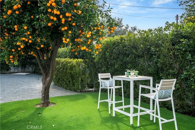 16706 Magnolia Blvd, Encino, CA 91436 - photo 69