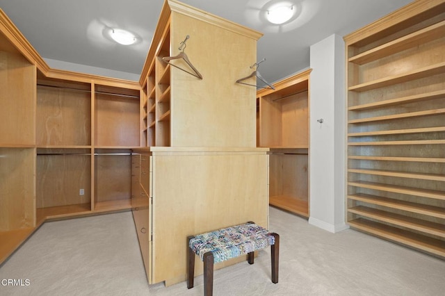 1135 Capri Way, Oxnard, CA 93035 - spacious closet featuring light carpet