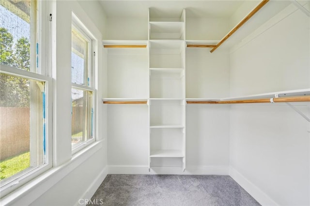 1241 Bresee Ave, Pasadena, CA 91104 - walk in closet with carpet