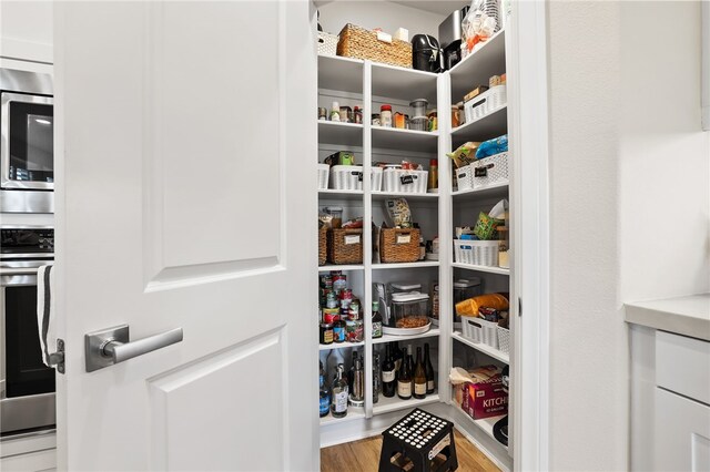 24 Granja Ct, Rancho Mission Viejo, CA 92694 - view of storage area