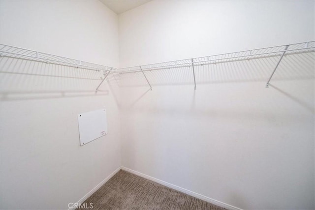 31241 Taylor Ln, Temecula, CA 92592 - walk in closet featuring carpet
