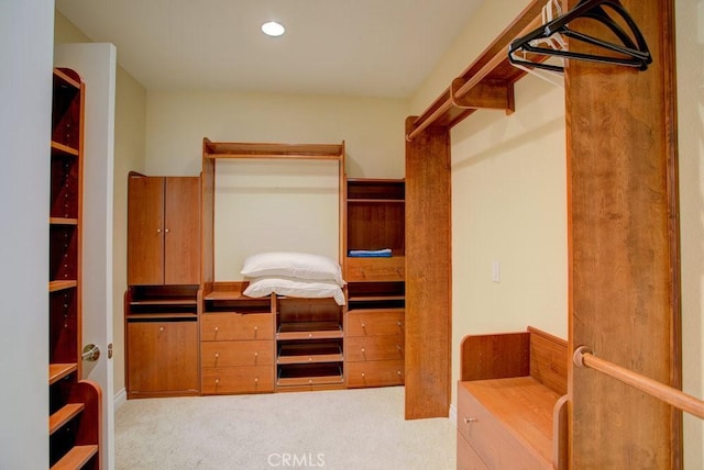 32557 Pine Cone Ct Unit A & B, Running Springs, CA 92382 - spacious closet with carpet flooring