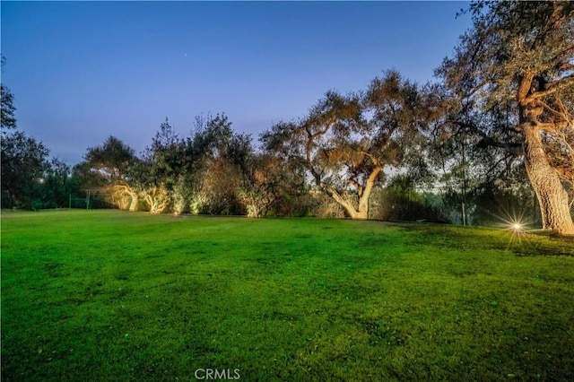 1812 Linda Vista Ave, Pasadena, CA 91103 - view of grassy yard featuring view of scattered trees