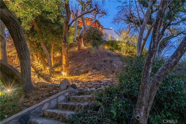 1812 Linda Vista Ave, Pasadena, CA 91103 - view of yard
