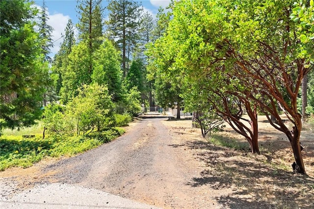 4930 Contentment Ln, Forest Ranch, CA 95942 - view of dirt / gravel road