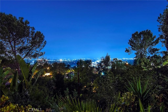 3935 Oakfield Dr, Sherman Oaks, CA 91423 - view of yard