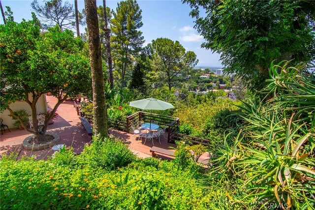 3935 Oakfield Dr, Sherman Oaks, CA 91423 - photo 9