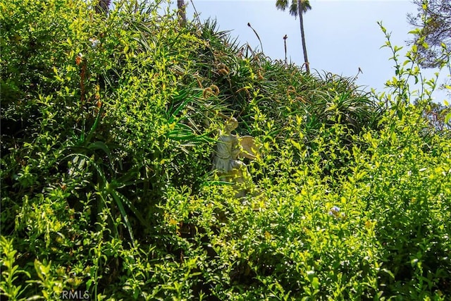 3935 Oakfield Dr, Sherman Oaks, CA 91423 - view of undeveloped land