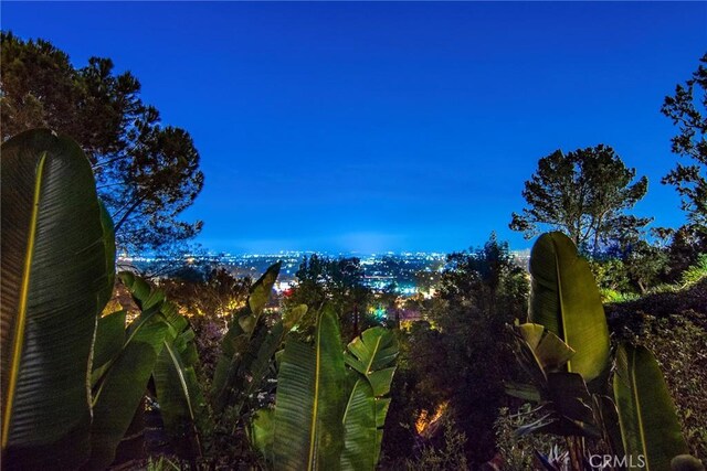3935 Oakfield Dr, Sherman Oaks, CA 91423 - photo 49