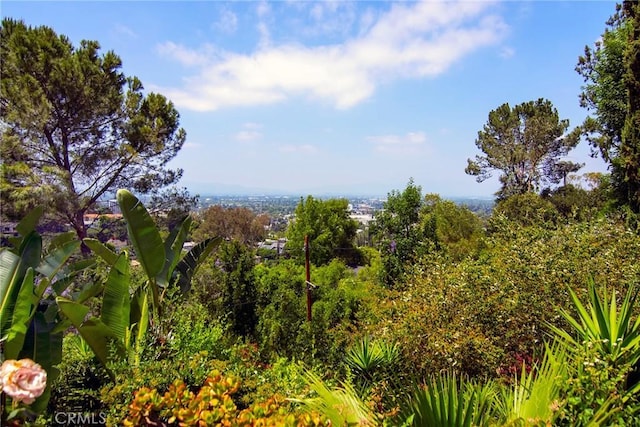 3935 Oakfield Dr, Sherman Oaks, CA 91423 - view of nature