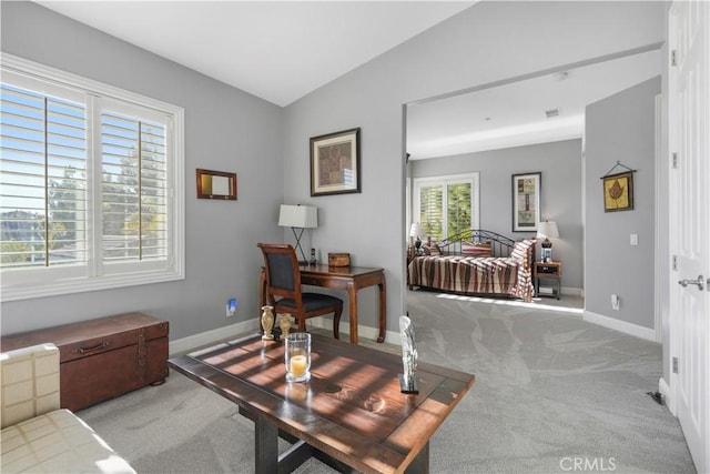 12364 Palmer Dr, Moorpark, CA 93021 - photo 60