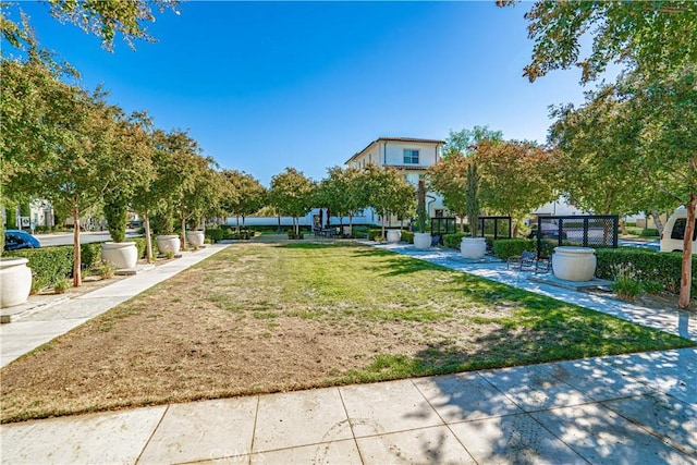 21836 Moveo Dr, Saugus, CA 91350 - view of grassy yard